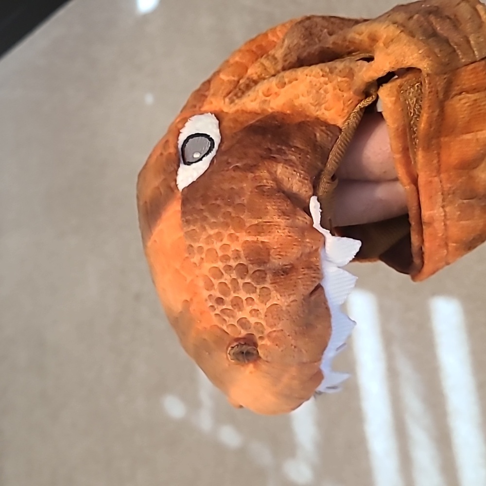 T-Rex Pet Costume